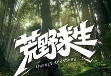 荒野求生（在这个充满挑战的世界中，如何生存下去？）