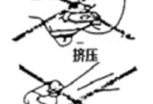 摩尔庄园手游挤牛奶攻略（详解挤牛奶技巧，让你获得更多奶制品！）