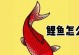 红色鲤鱼游戏攻略（破解红色鲤鱼游戏的攻略技巧，助你游刃有余闯关升级）