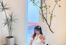 《以一梦江湖》夜晚场景解锁攻略（探秘游戏中隐藏的夜晚场景，解锁诉冰心场景的方法）