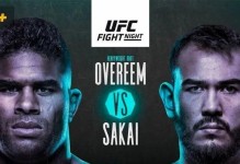 UFC4游戏攻略降伏（学习关键技巧，成为无敌冠军）