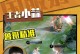 打造强力无视野鲁班——攻略与技巧（揭秘无视野鲁班的最佳出装方案与战术策略）