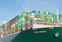 玩转天下手游快马加鞭任务（详解快马加鞭任务攻略，提高任务完成效率）