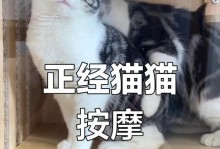《喵咪按摩店游戏攻略大揭秘》（探索喵咪按摩店，享受猫咪的温柔按摩，乐趣无限！）