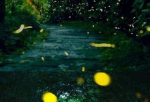 萤火之森（无懈可击的战斗力，关键出装秘籍揭秘！）