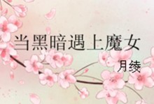 黑暗3魔女出装攻略——巩固实力夺取胜利（黑暗3魔女出装攻略——打造无敌魔法盛宴）