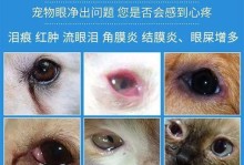 《克服小坑的烦恼23攻略》（如何应对并解决生活中的各种小困扰）