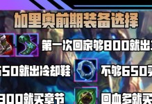 加里奥装备出装最新攻略（从新手到高手，这些装备选项将帮助你成为加里奥的强大玩家！）