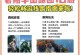 华山攻略大全（攀登华山，寻找绝世武功的奥秘）